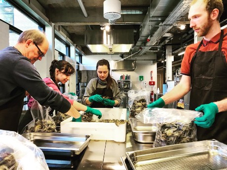 Nordic Crabs