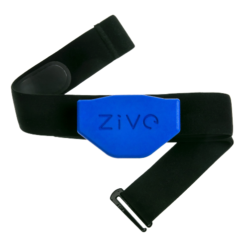 Zive