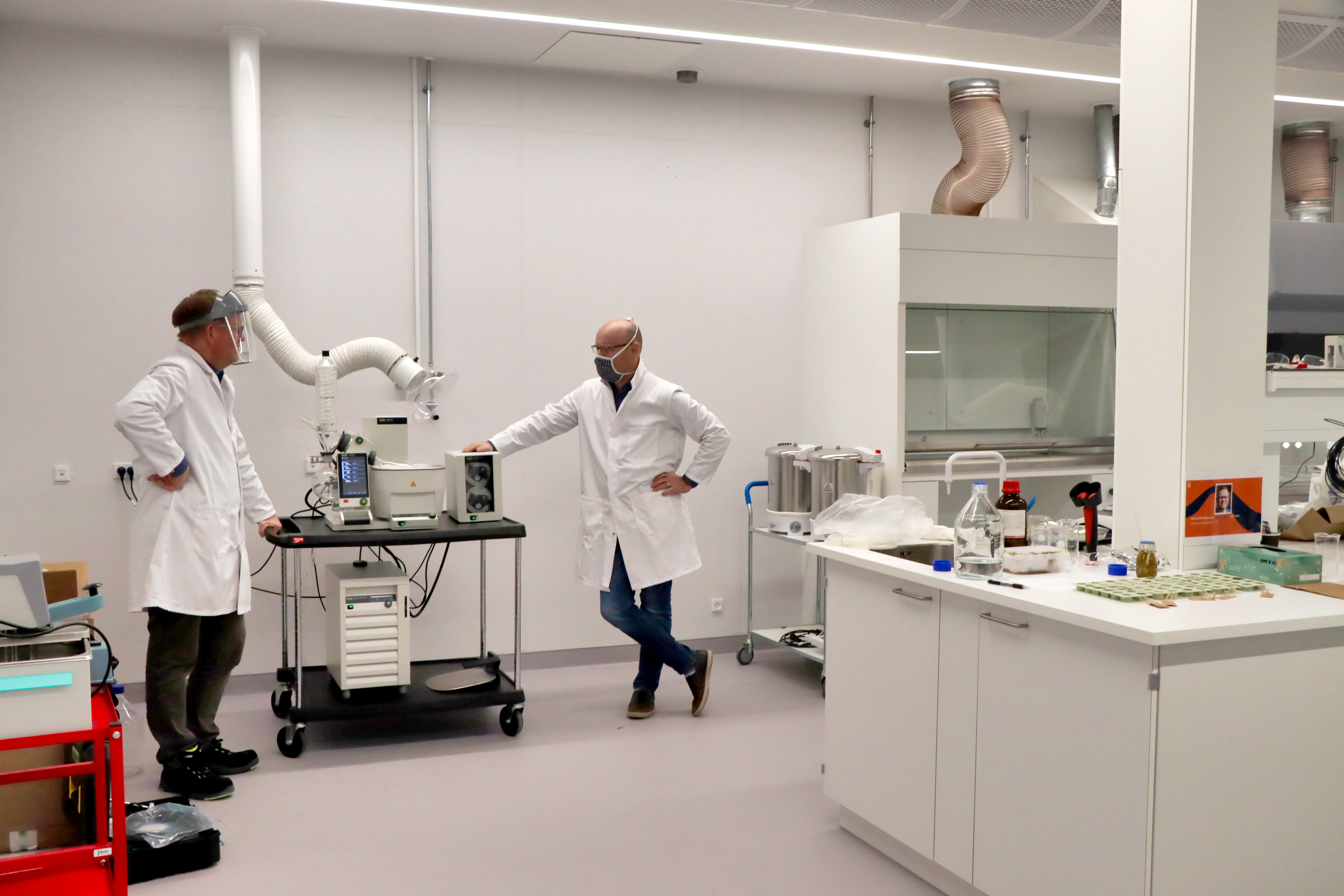 Lab
