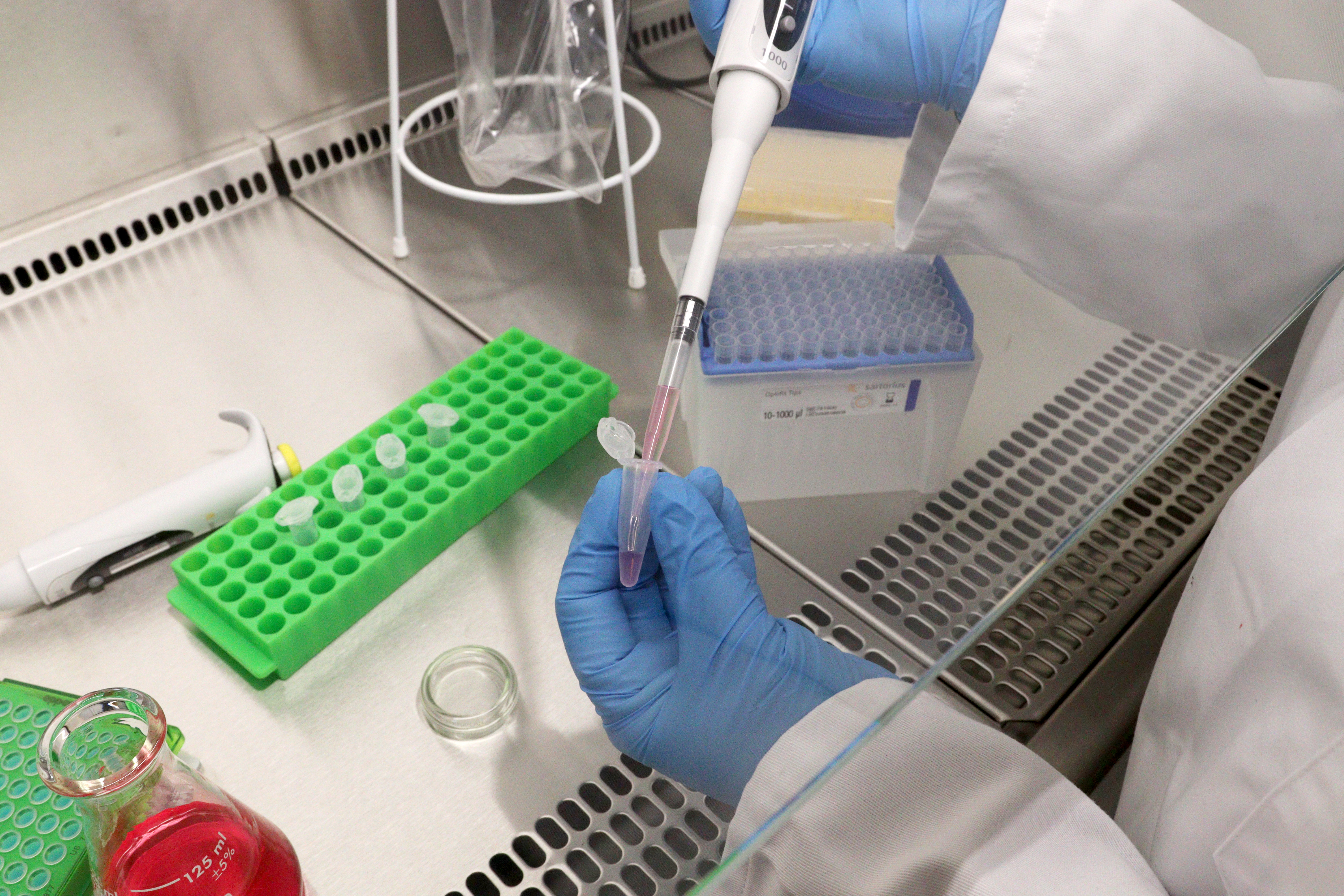 Lab