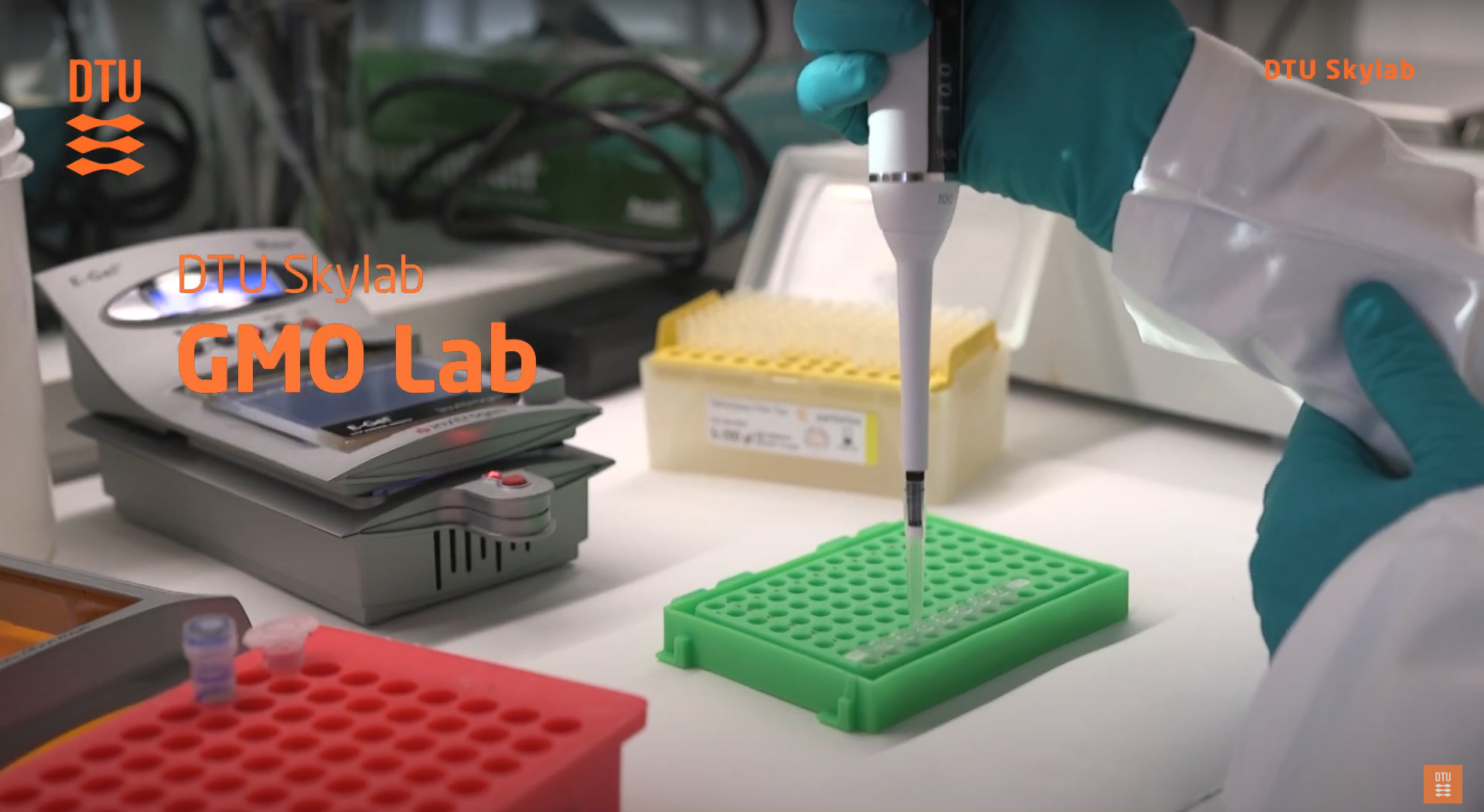 GMO lab ©DTU GMO lab